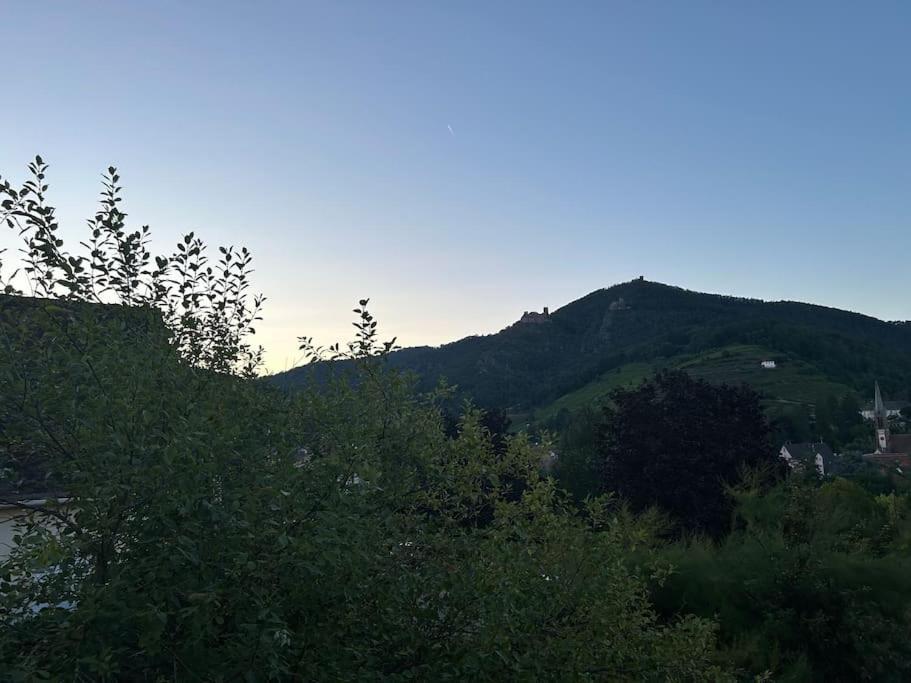Vue Magnifique Sur Les Chateaux 리보빌레 외부 사진