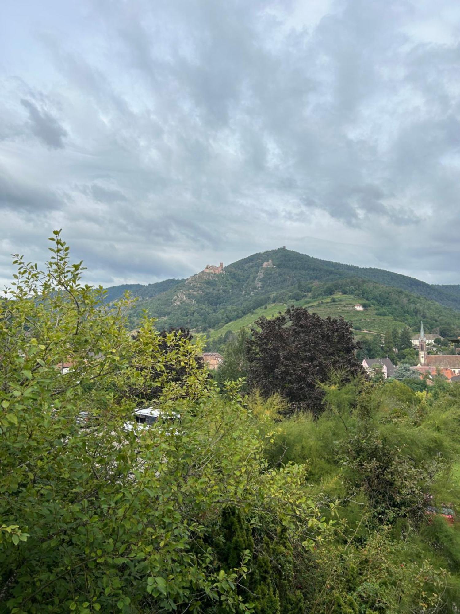 Vue Magnifique Sur Les Chateaux 리보빌레 외부 사진